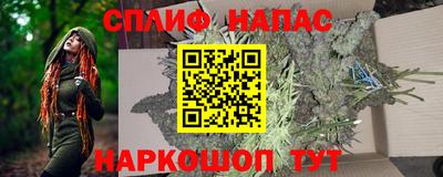 прущие грибы Бердск