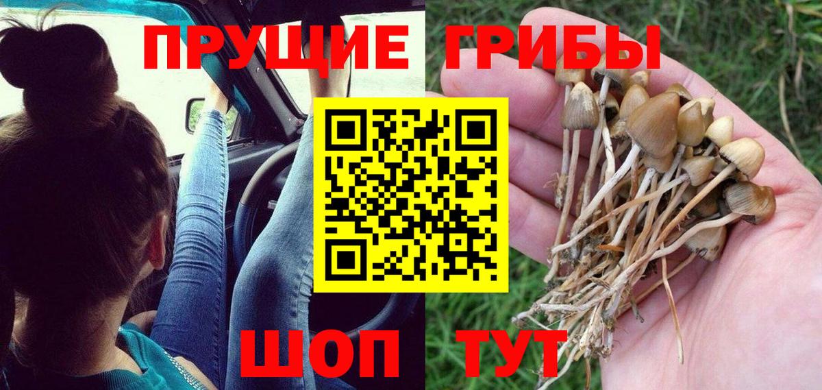 Коломна  Псилоцибиновые грибы Psilocybe  Вход с VPN 